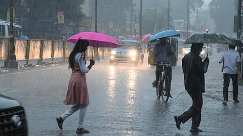 இடம்: திருநெல்வேலி | படம்: ஏ.ஷேக் மொகிதீன்