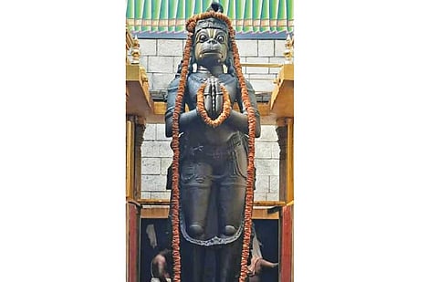 மார்கழி பிறப்பு மற்றும் முதல் ஞாயிற்றுக் கிழமையை முன்னிட்டு, நாமக்கல் ஆஞ்சநேயர் சுவாமி வடை மாலை அலங்காரத்தில் பக்தர்களுக்கு சேவை சாதித்தார்.