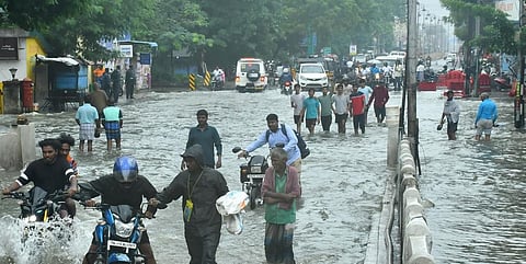 திருநெல்வேலி ஸ்ரீபுரம் பகுதியில் தேங்கியிருக்கும் மழைநீர் | படம்: மு.லெட்சுமி அருண்