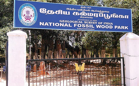 எம்.எஸ்.கிருஷ்ணன்: இந்தியப் புவியியல் துறையின் பெருமிதம்