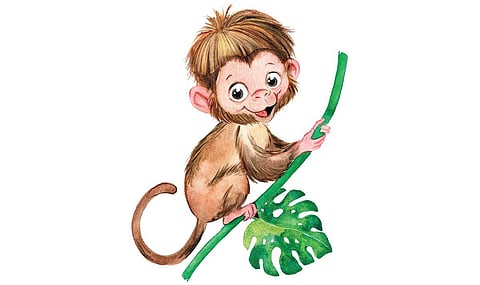 கதை: பிரபாவை விழுங்கிய குயிலா!