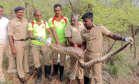 பிரதிநிதித்துவப் படம்