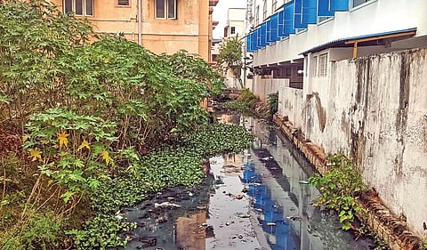 வயலூர் சாலை சீனிவாசா நகர் மற்றும்  கீதா நகர் பகுதிகளில் ஆக்கிரமிப்பால் சுருங்கி காணப்படும் காத்தான் வாய்க்கால். | படங்கள்: தீ.பிரசன்ன வெங்கடேஷ்