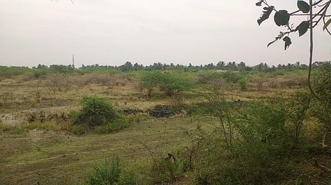 தஞ்சை மாவட்டத்தில் போதிய மழை இல்லாததால் வறண்டு காணப்படும் 372 நீர்நிலைகள்: 4,303-ல் 26 மட்டுமே முழுமையாக நிரம்பின