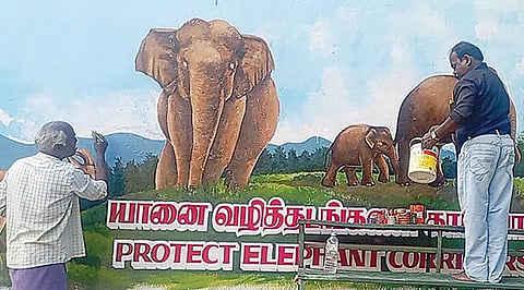 வால்பாறை அரசு மேல்நிலைப்பள்ளியில் யானைகளின் வழித்தடம் குறித்து விழிப்புணர்வு ஓவியம் வரையும் ஆசிரியர் துரைராஜ்.
