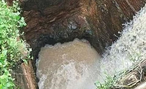 பிரதிநிதித்துவப் படம்