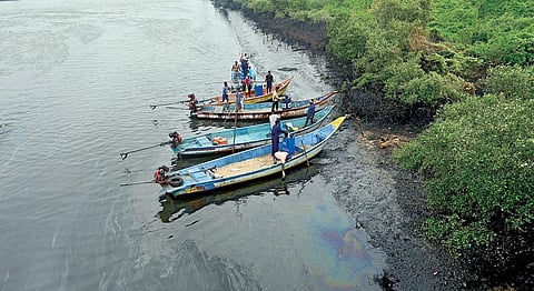 எண்ணூரில் கொசஸ்தலை ஆற்றின் கரையோரம் சதுப்பு நிலங்களில் படிந்துள்ள எண்ணெய் கழிவுகளை படகுகள் மூலம் அகற்றும் பணி நடந்து வருகிறது. 
படம்: எஸ்.சத்தியசீலன்