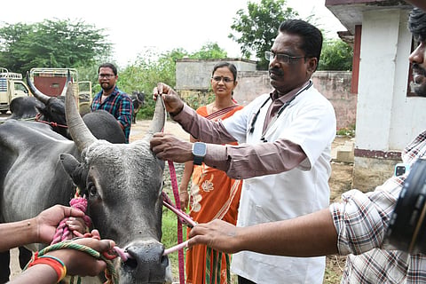 படம்: எஸ்.கிருஷ்ணமூர்த்தி.
