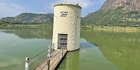 பழநியில் பச்சை நிறமாக மாறிய கோடை கால நீர்த்தேக்கம்