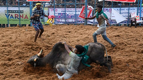 அலங்காநல்லூரில் இன்று ஜல்லிக்கட்டு போட்டிக்கு முகூர்த்தகால் நடும் விழா