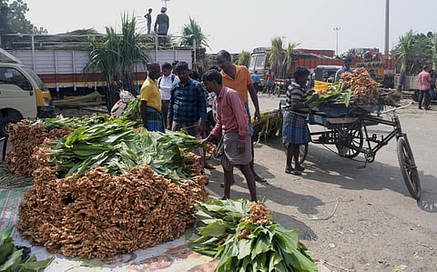 பொங்கல் சிறப்பு சந்தை கோயம்பேட்டில் இன்று தொடக்கம்