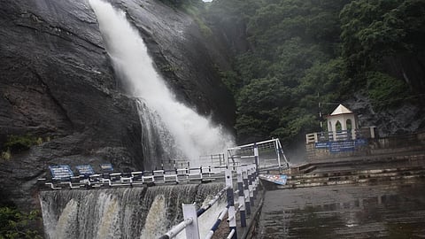 பழைய குற்றாலம் அருவியில் நேற்று பகலில் கொட்டிய தண்ணீர்.