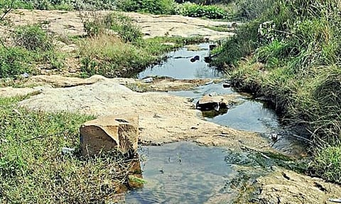 கொசஸ்தலை ஆற்றில் கலப்பதற்கு முன்பாக மழைநீரை சேமிக்க மலை அடிவாரத்தில் அணை - பள்ளிப்பட்டு மக்கள் கோரிக்கை