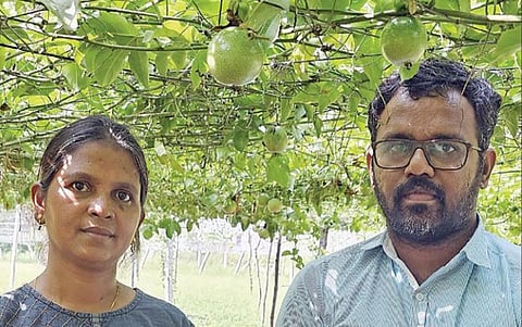 வெளிநாட்டு வேலையை விட்டுவிட்டு இயற்கை விவசாயம் செய்யும் தம்பதி @ திண்டுக்கல்
