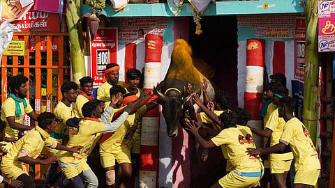 கோப்புப்படம்