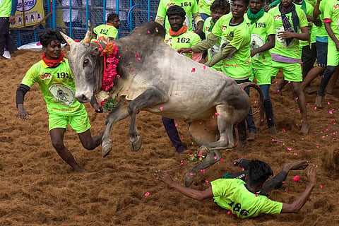 படம்: ஆர்.அசோக்