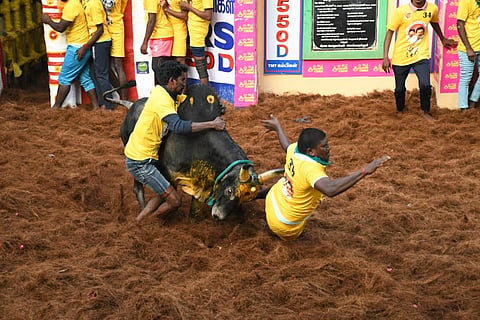 படங்கள்: எஸ்.கிருஷ்ணமூர்த்தி.