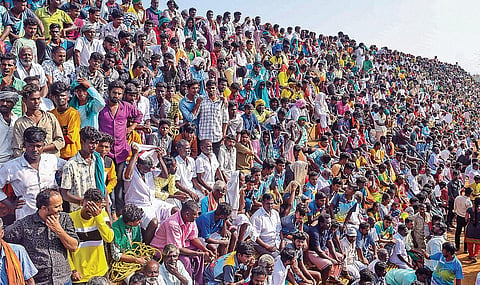 தற்காலிகமாக அமைக்கப்பட்ட கேலரியில் அமர்ந்து போட்டியை உற்சாகமாக கண்டு ரசித்த பார்வையாளர்கள்.