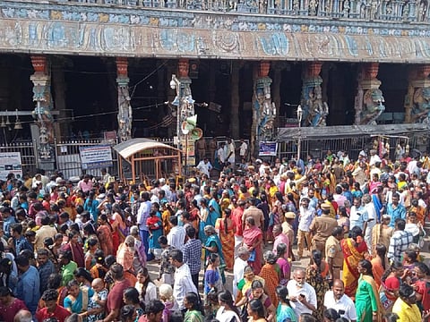 திருப்பரங்குன்றம் முருகன் கோயிலில் தைப்பூச விழா - பறவைக்காவடி எடுத்த பக்தர்கள்