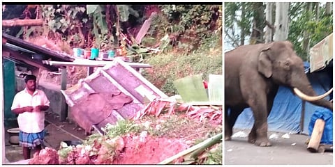 மூணாறு எக்கோ பாய்ண்ட் பகுதியில் வலம் வந்த காட்டுயானை குடியிருப்புகள் மற்றும் வாழைத் தோட்டத்தை சேதப்படுத்தியது