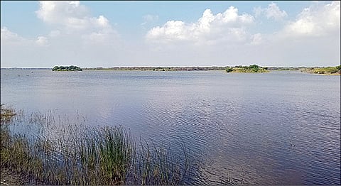 கரைவெட்டி கிராமத்தில் உள்ள பறவைகள் சரணாலய ஏரி.