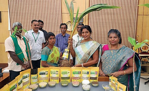 தமிழ்நாடு வேளாண்மை பல்கலை. சார்பில் 20 புதிய வகை பயிர் ரகங்கள் அறிமுகம்