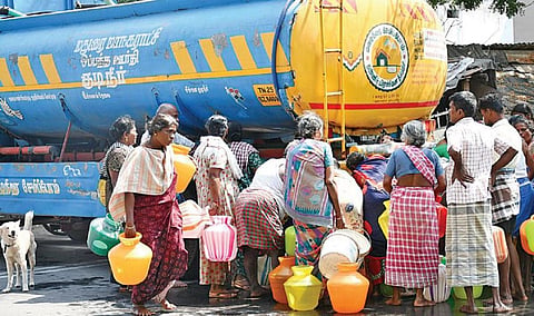 படம்: எஸ்.கிருஷ்ணமூர்த்தி