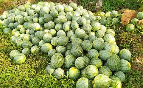 பிரதிநிதித்துவப் படம்