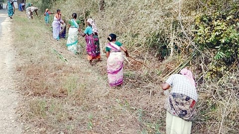 கோட்டப்பட்டி வனப்பகுதியில் சிட்லிங் முதல் சூரப்பட்டி வரையிலான வனப்பகுதியில் தீ தடுப்பு கோடுகள் அமைக்கும் பணியில் ஈடுபட்டுள்ள தொழிலாளர்கள்.