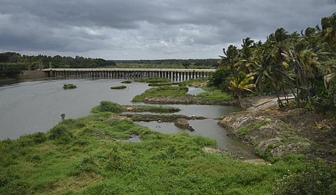 காவிரி-வைகை-குண்டாறு இணைப்புத் திட்டத்துக்கு தமிழக பட்ஜெட்டில் நிதி ஒதுக்காததால் 7 மாவட்ட விவசாயிகள் வேதனை