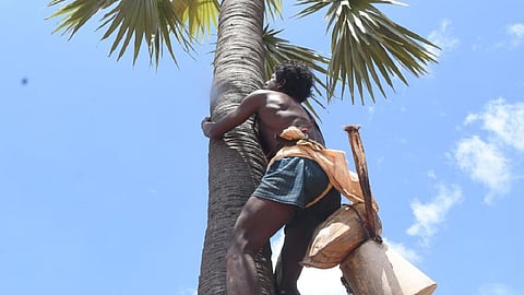 பிரதிநிதித்துவப் படம்