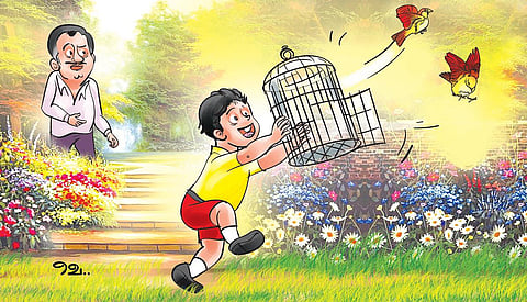 பறவைகளுக்கு தேவை பாசம் அல்ல... சுதந்திர சுவாசம் தான்...