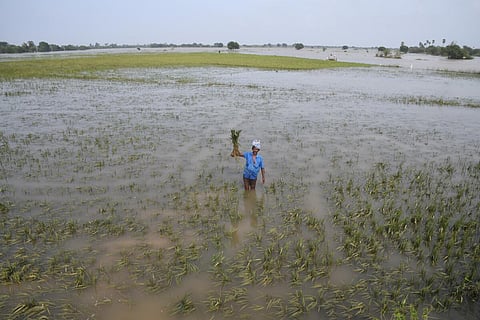 கோப்புப் படம்