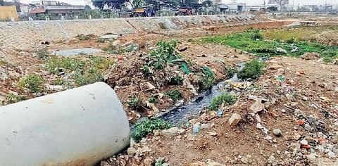 ஓசூர் ராமநாயக்கன் ஏரியில் சாக்கடை கழிவுநீர் கலப்பதை தடுக்க வலியுறுத்தல்