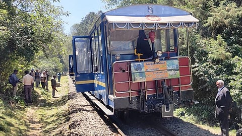 உதகை அருகே எருமை மீது மோதி தடம் புரண்ட மலை ரயில் - பயணிகளுக்கு பாதிப்பு இல்லை