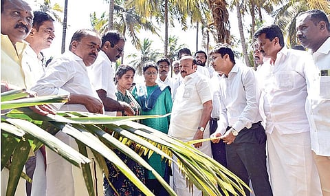 பொள்ளாச்சி அருகேயுள்ள அம்பராம்பாளையத்தில் வேர் வாடல்
நோயால் பாதிக்கப்பட்ட தென்னை மரங்களை வேளாண்மை மற்றும் உழவர் நலத்துறை அமைச்சர் எம்.ஆர்.கே. பன்னீர்செல்வம்  நேரில் பார்வையிட்டு ஆய்வு மேற்கொண்டார்.