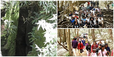 கொடைக்கானலில் உள்ள சாத்தானின் சமையலறை என அழைக்கப்படும் குணா குகையை காண குவிந்த சுற்றுலா பயணிகள்.
