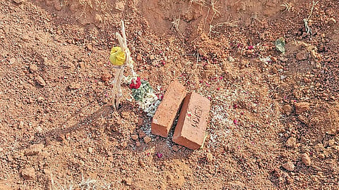 கடந்த தேர்தலில் ஒற்றை செங்கலை காட்டி திமுக பிரச்சாரம் செய்த நிலையில், பூமிபூஜை நடந்த இடத்தில் தற்போது காணப்படும் இரண்டு செங்கல். படம்; எஸ்.கிருஷ்ணமூர்த்தி.