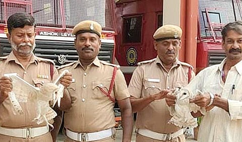 மதுரையில் மீட்கப்பட்ட ஐரோப்பிய நாட்டு ஆந்தையுடன் தீயணைப்பு துறையினர்.