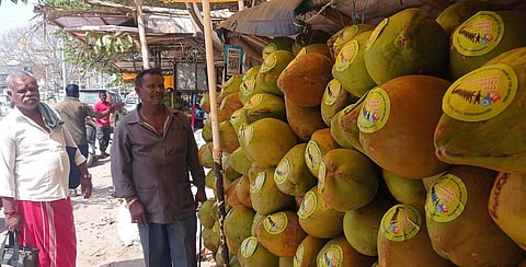 ஓசூர் அருகே இளநீர், தர்பூசணி, நுங்கு மீது ஸ்டிக்கர் ஒட்டி தேர்தல் விழிப்புணர்வு