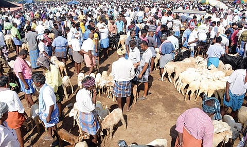 தெலுங்கு வருடப் பிறப்பு, அரியக்கா , பெரியக்கா கோயில் திருவிழாக்கள் மற்றும் ரம்ஜான் பண்டிகையையொட் டி, குந்தாரப்பள்ளி வாரச்சந்தையில் அதிகளவில் ஆடுகள் விற்பனையானது.