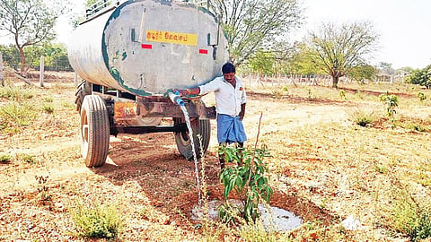 வேப்பனப்பள்ளி அருகே ஜெகநாதபுரம் கிராமத்தில் தண்ணீரை விலை கொடுத்து வாங்கி டிராக்டரில் கொண்டு வந்த மா செடிகளுக்கு பாய்ச்சி பராமரிக்கும் விவசாயி.