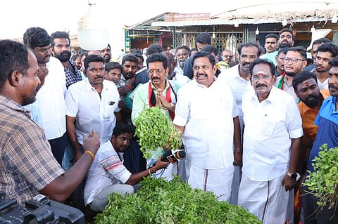 படங்கள் எஸ்.கிருஷ்ணமூர்த்தி