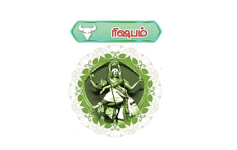 ரிஷபம் ராசியினருக்கு குரோதி வருடம் எப்படி? - தமிழ்ப் புத்தாண்டு பலன்கள் | ஏப்.14, 2024 முதல் ஏப்.13, 2025 வரை