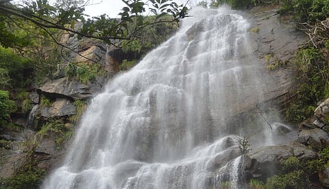 ஒட்டன்சத்திரம் அருகே விருப்பாச்சியில் உள்ள தலையூத்து அருவி.