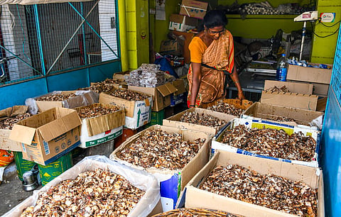தேர்தல் நடைமுறைகளால் சேலம் லீ பஜாரில் 4-ல் ஒரு பங்காக குறைந்த புளி வரத்து! 