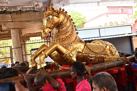 படம்: எஸ்.கிருஷ்ணமூர்த்தி.