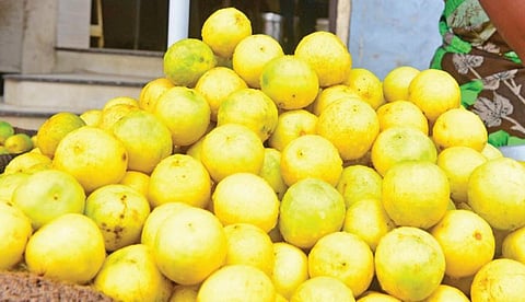 சில்லறை விற்பனை கடையில் விற்பனைக்காக குவித்து வைக்கப்பட்டுள்ள எலுமிச்சை பழங்கள்.