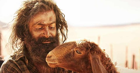 ரூ.150 கோடி வசூலை எட்டியது பிருத்விராஜின் ‘ஆடுஜீவிதம்’