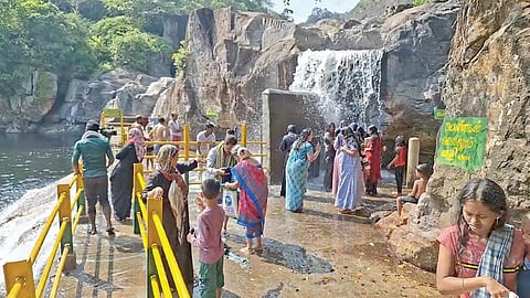 மணிமுத்தாறு அருவியில் நேற்று ஏராளமானோர் குளித்தனர்.